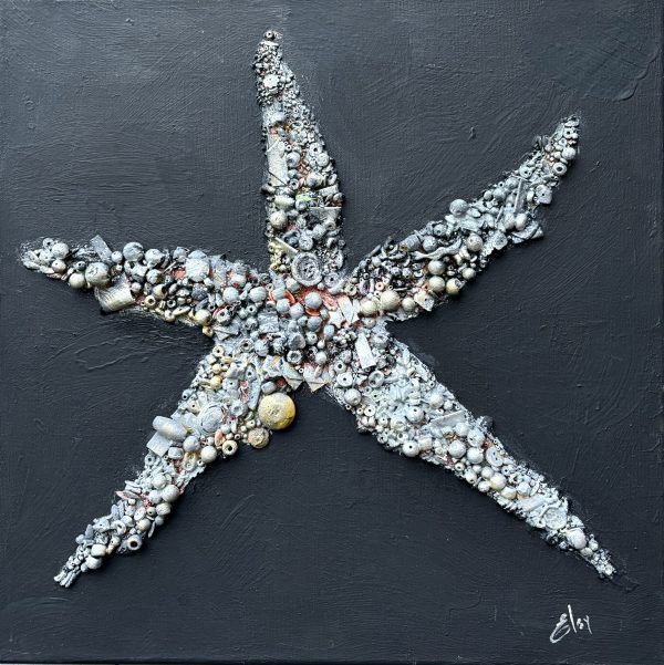 Reuce starfish - 40x40
